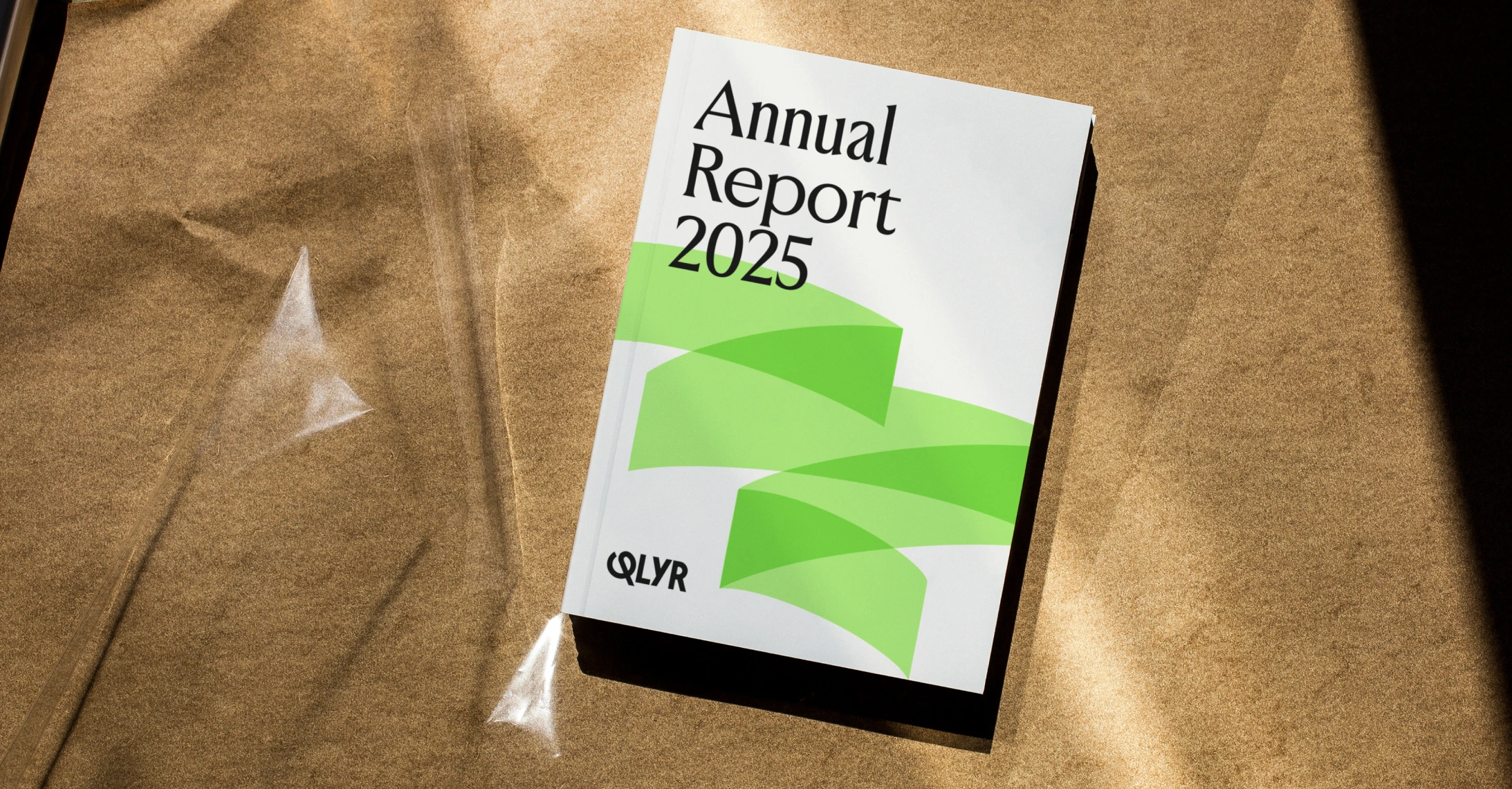 Qlyr annual report 2025